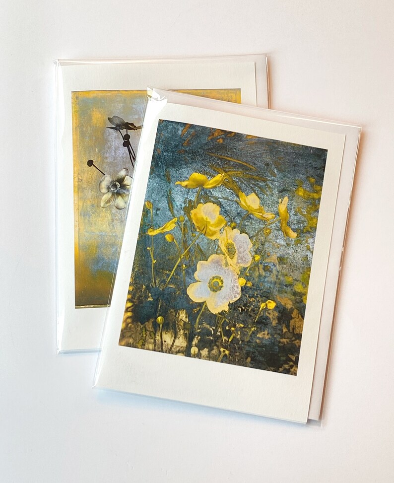 Anemone Botanical Fine Art Cards Sets of 6 cards Frameable as Mini Prints image 1