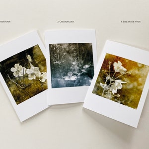 Of The Afternoon Floral Art Fine Art Cards Sets of 6 cards Frameable as Mini Prints image 3