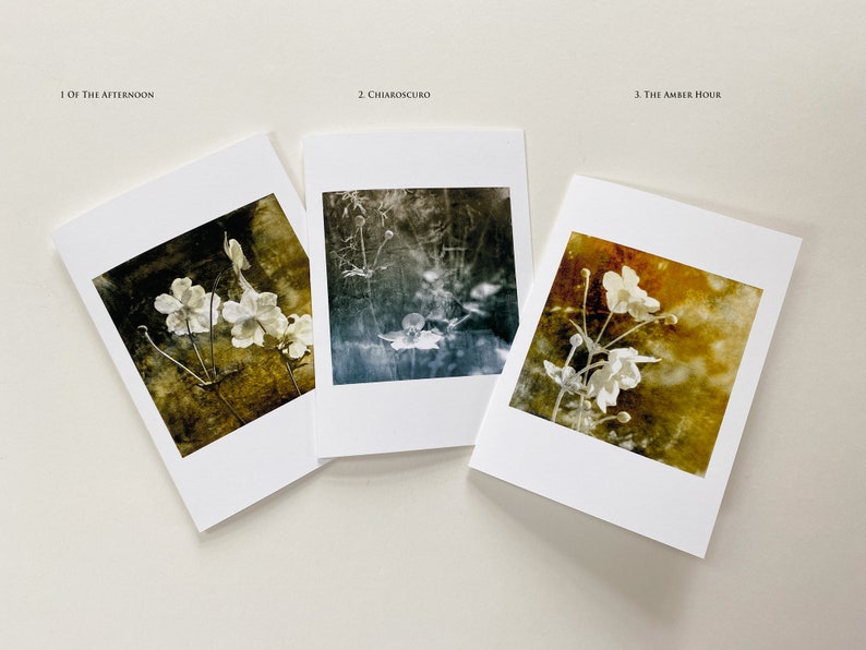 Of The Afternoon Floral Art Fine Art Cards Sets of 6 cards Frameable as Mini Prints image 3