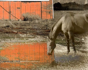 Le Rêve du Cheval (The Horse’s Dream), limited edition archival pigment print