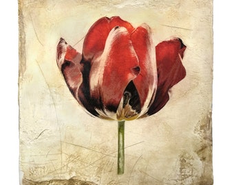 The Red Tulip, botanical mini print, Valentines Day Gift