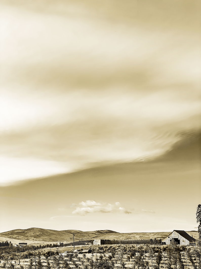 The White Barn, Western Landscape, Sepia Photo image 1