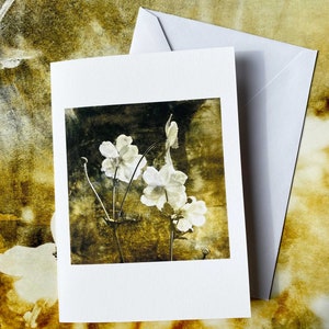 Of The Afternoon Floral Art Fine Art Cards Sets of 6 cards Frameable as Mini Prints image 4
