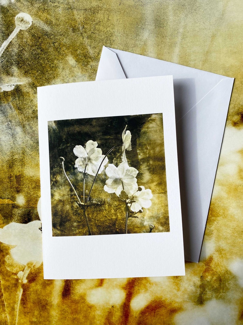 Of The Afternoon Floral Art Fine Art Cards Sets of 6 cards Frameable as Mini Prints image 4