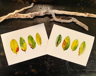 From One Tree Leaf Paintings | Fine Art Cards | Sets of 6 cards | Botanical Watercolor specimens