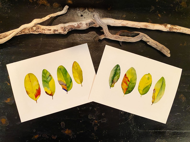 From One Tree Leaf Paintings  Fine Art Cards  Sets of 6 image 1