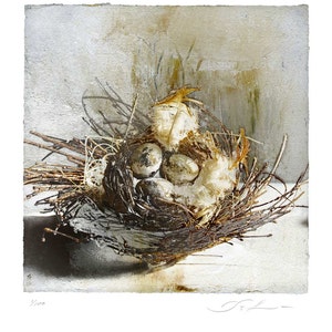 The Nest, limited edition fine art print afbeelding 1