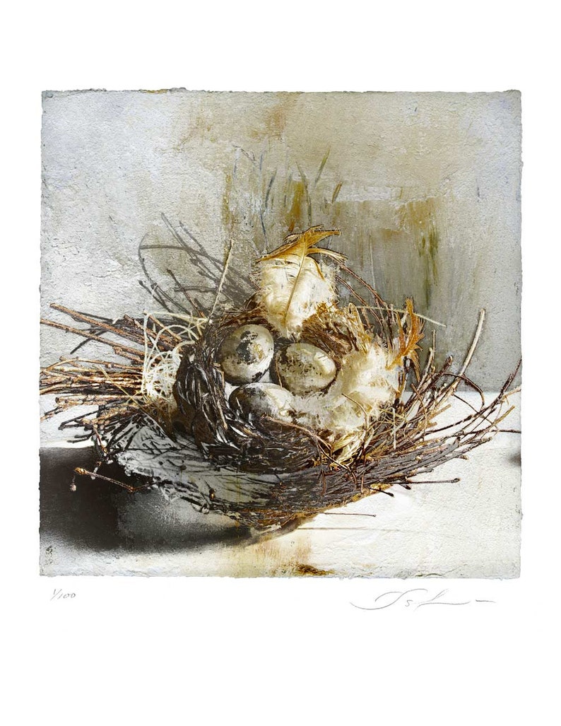 The Nest, limited edition fine art print afbeelding 1