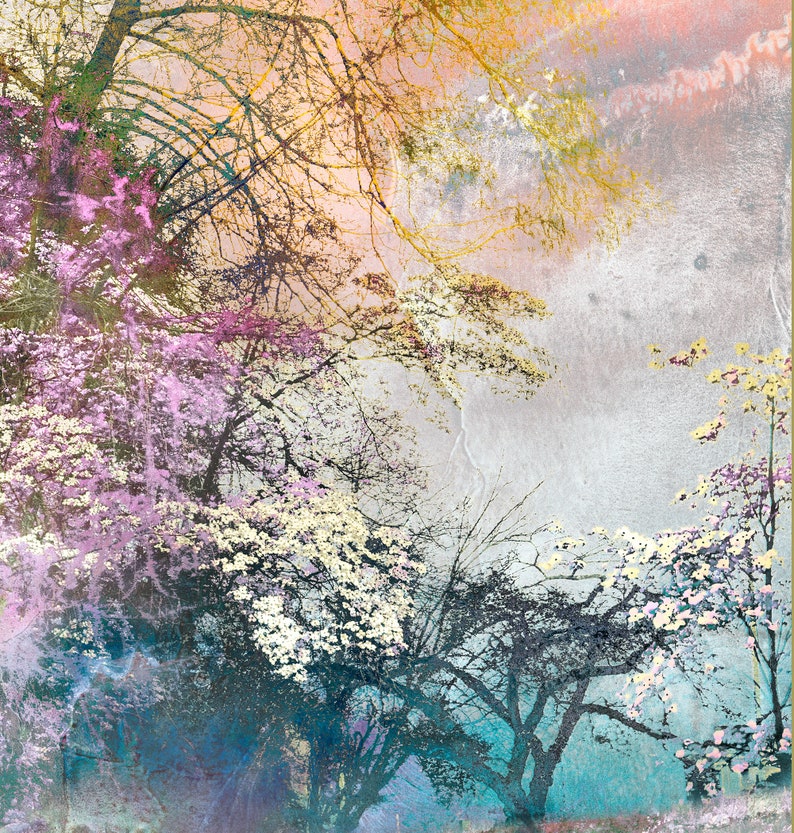 Plum Wine limited edition archival pigment print, urban park, trees in landscape image 2