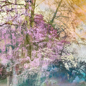 Plum Wine limited edition archival pigment print, urban park, trees in landscape image 1