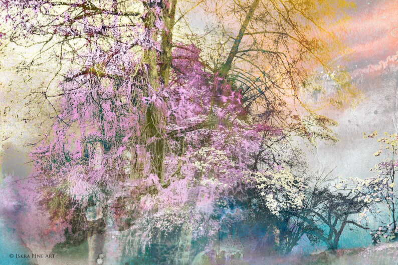 Plum Wine limited edition archival pigment print, urban park, trees in landscape image 1