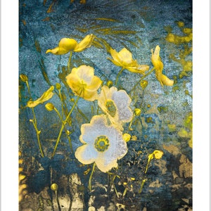 Anemone in the Field, floral art, botanical print, wild flowers, floral pattern, garden art image 3