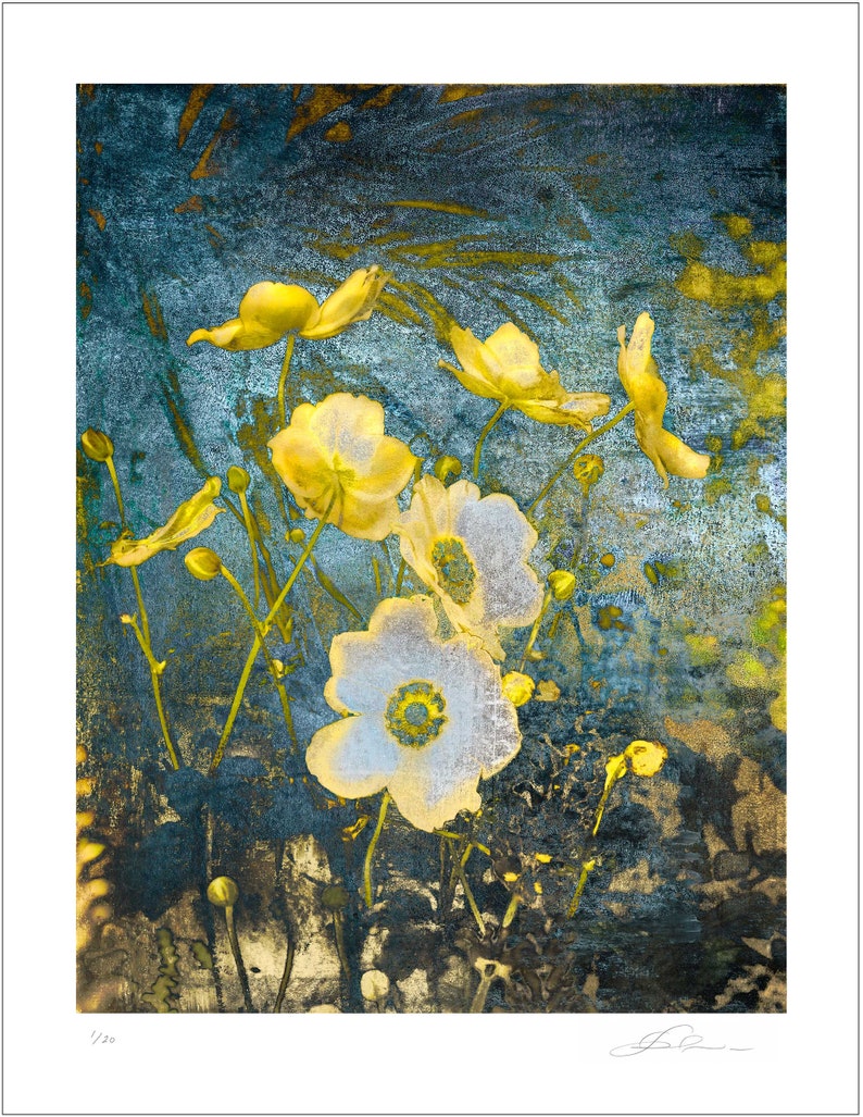 Anemone in the Field, floral art, botanical print, wild flowers, floral pattern, garden art image 3