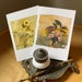 see more listings in the Botanical Cards section