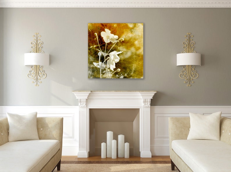 The Amber Hour Anemone in Afternoon light Fine Art Print image 3