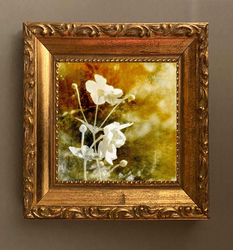 Of The Afternoon Floral Art Fine Art Cards Sets of 6 cards Frameable as Mini Prints image 6