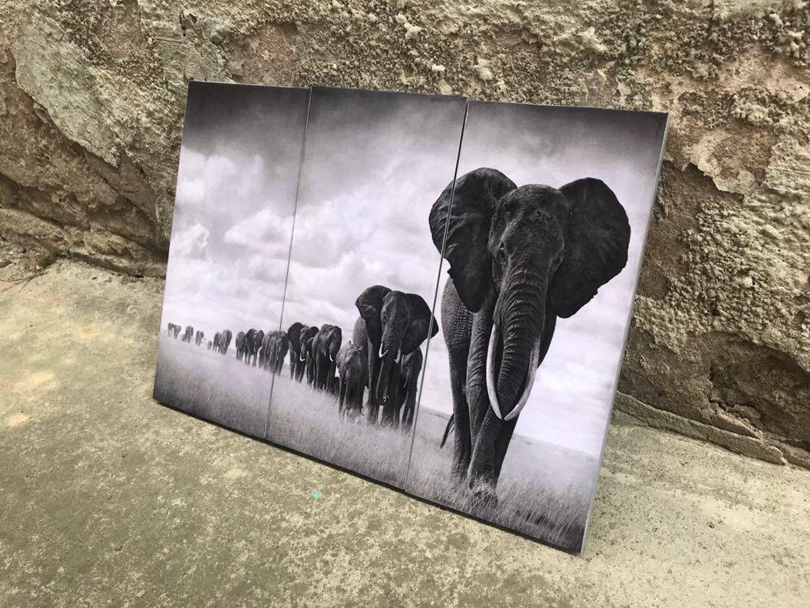 Elephant Wall Art Africa Art Animal Art Black and White Etsy