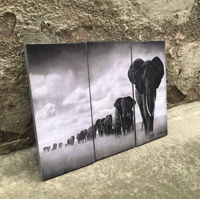 Elephant Wall Art Africa Art Animal Art Black and White Etsy