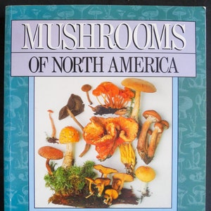 Mushrooms of North America (1991) von Roger Phillips - Das ultimative illustrierte Handbuch über Pilze mit mehr als 1.000 Farbfotos.