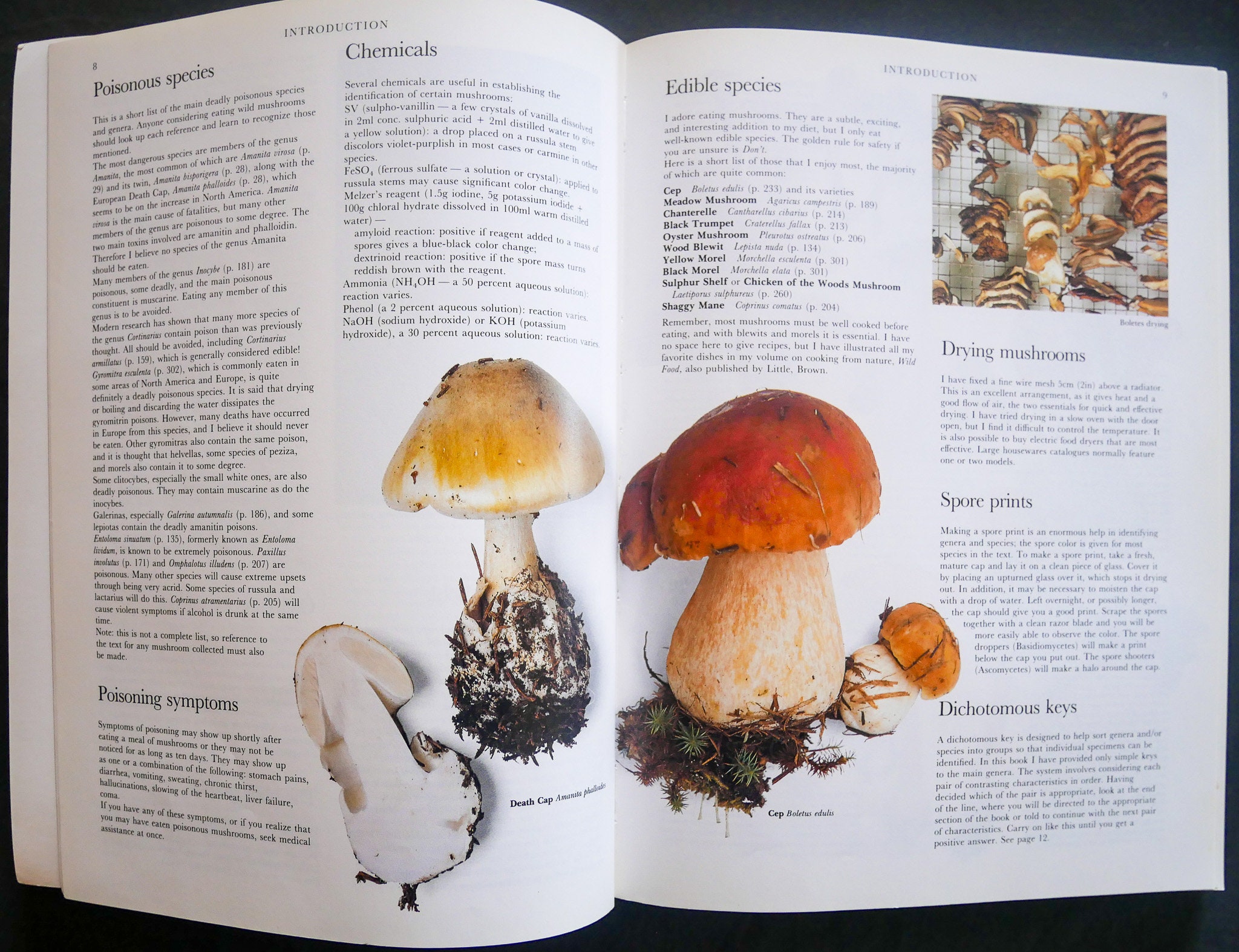 Mushrooms of North America (1991) by Roger Phillips - the Ultimate