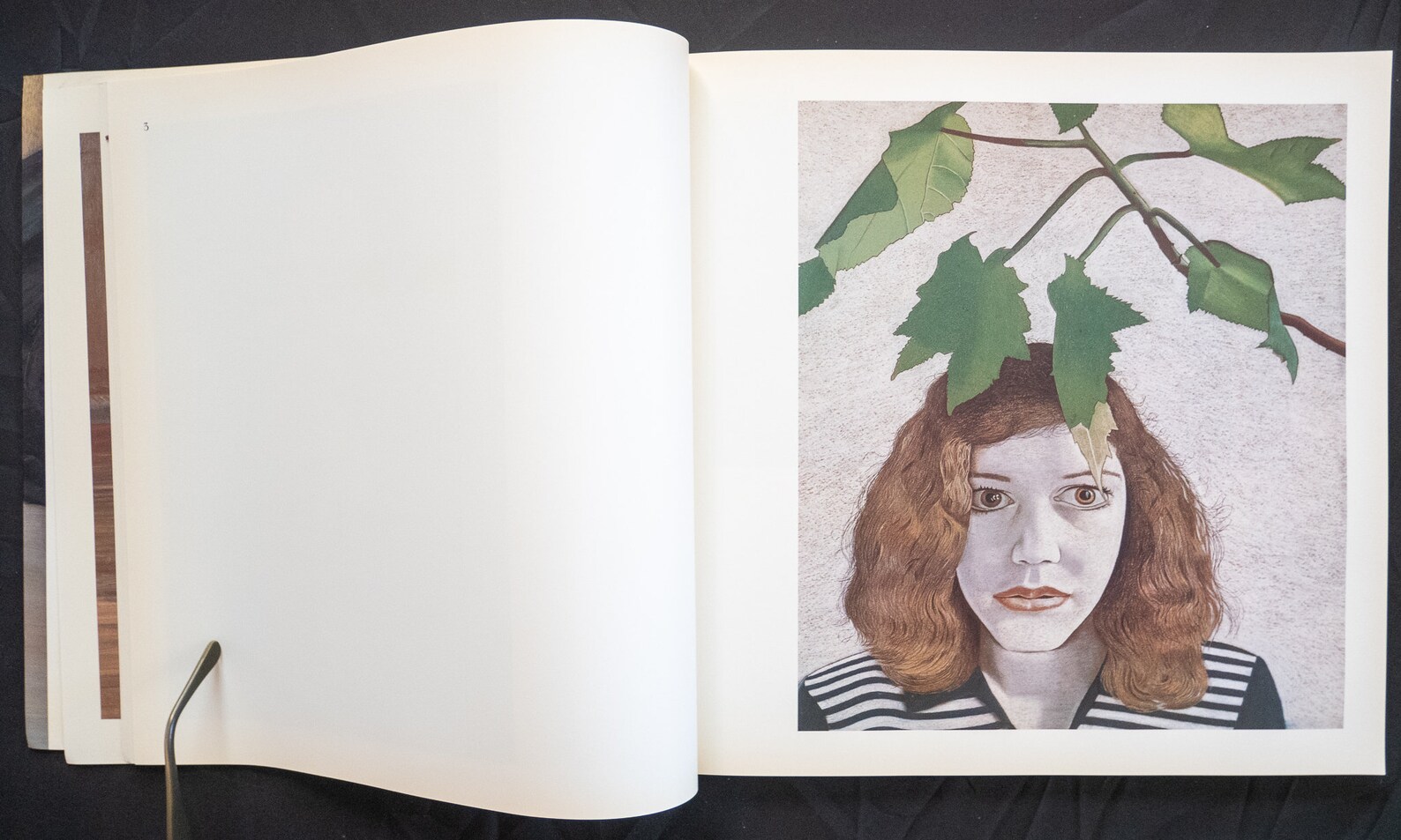 Images of lucien freud image