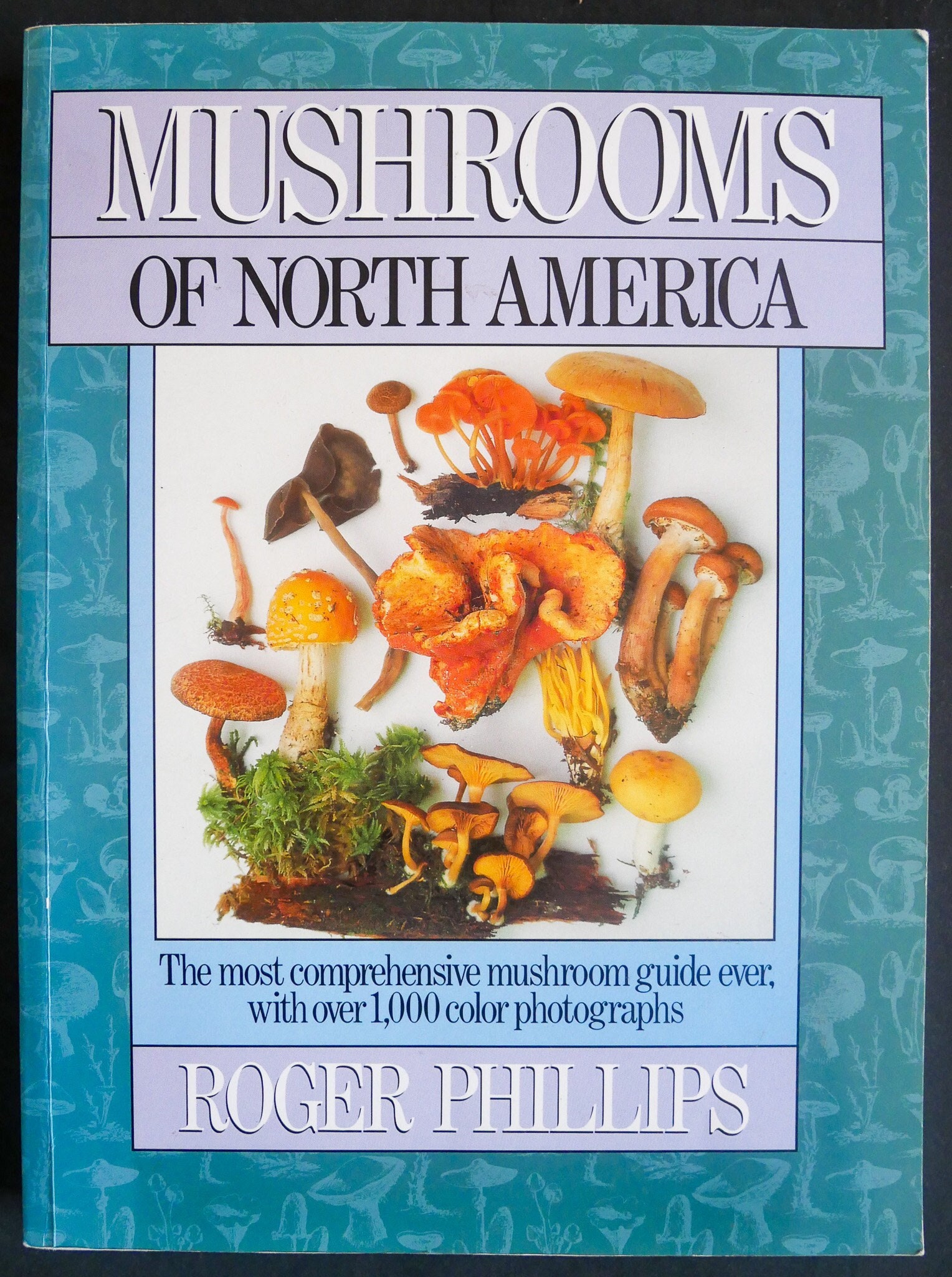 Mushrooms of North America (1991) by Roger Phillips - the Ultimate