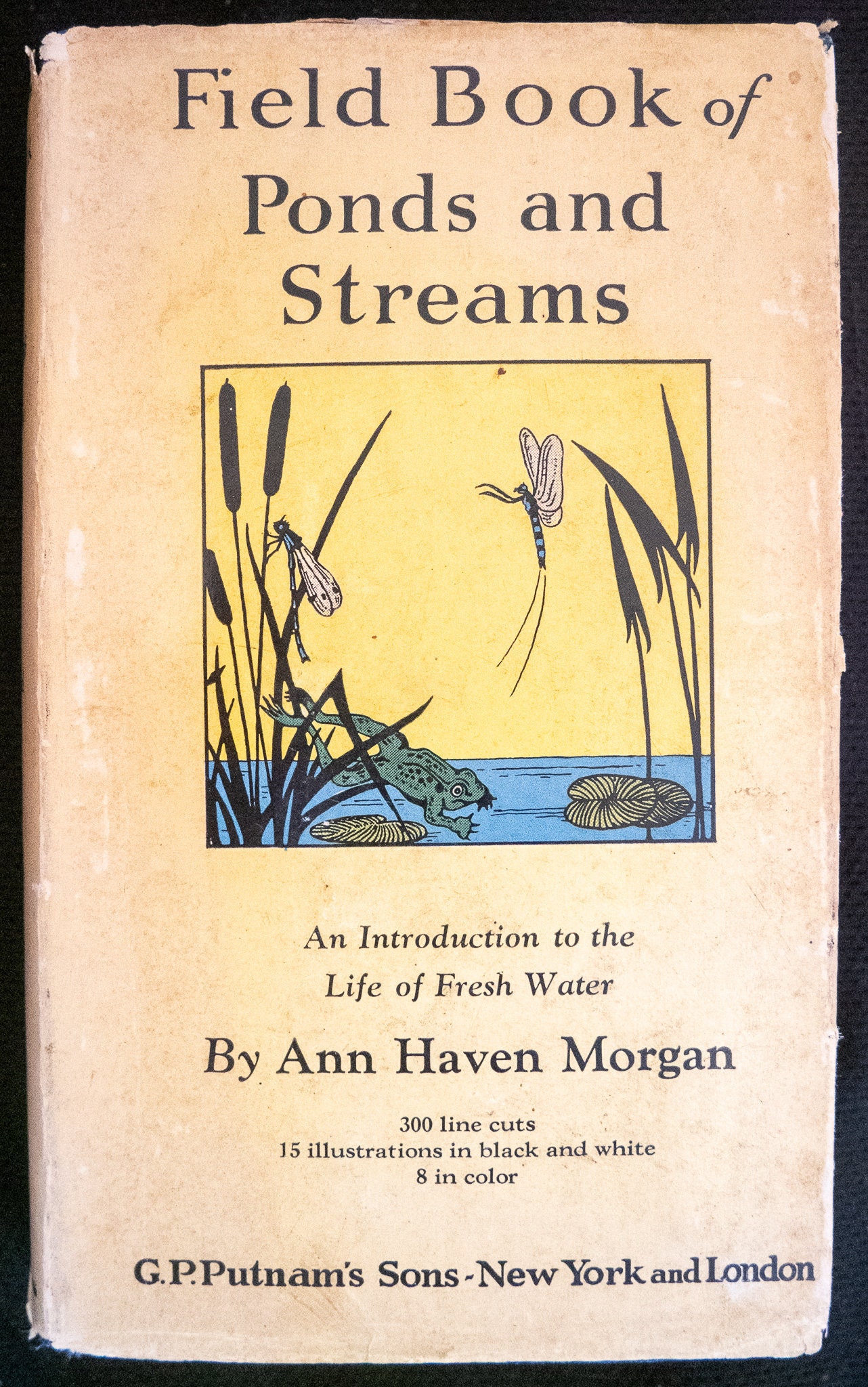 Field Book of Ponds and Streams 1930 an Introduction to the Etsy