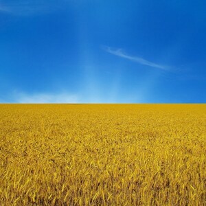 Glory to Ukraine - Ukrainian seller Shop - Desktop Wallpaper 1920×1200 - 1920×1080