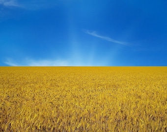 Glory to Ukraine - Ukrainian seller Shop - Desktop Wallpaper 1920×1200 - 1920×1080