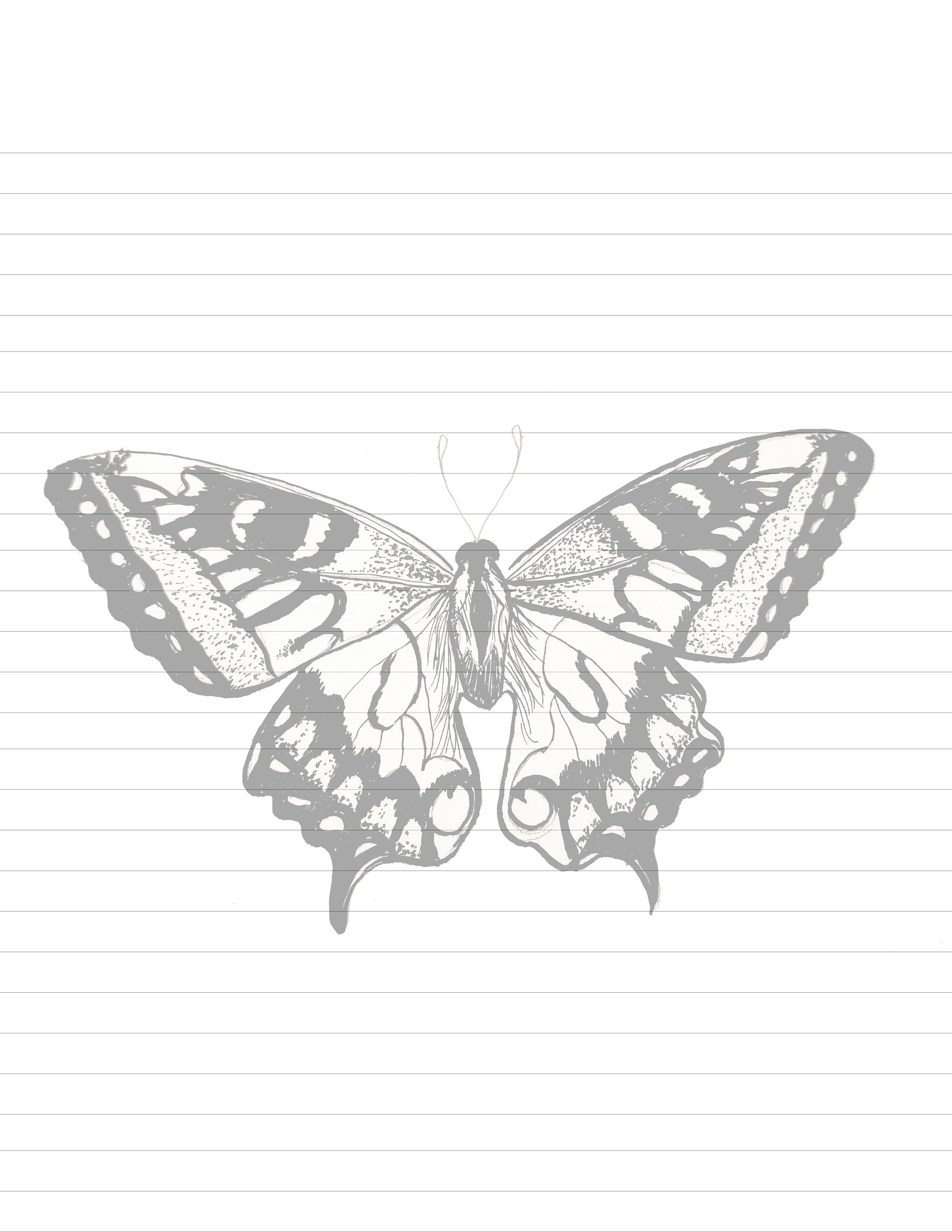 Whitefly Lettering Butterfly, Letter Writing, Printable, Lined Paper, Letter Writing, JW ...