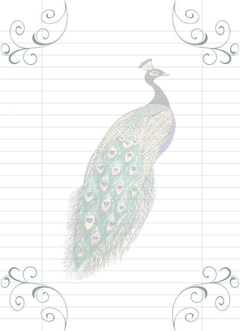 Peacock Printable Stationary Lined Paper Letter Writing JW | Etsy