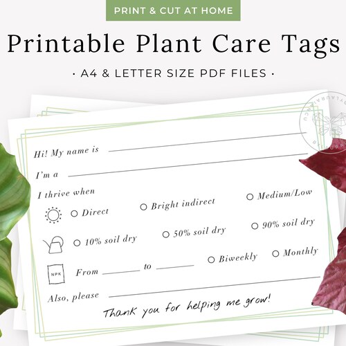 Plant Care Tags Printable Houseplant Name Tags Indoor Plant Etsy