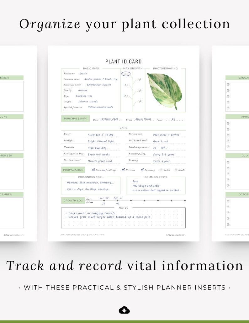 Plant Planner Printable Houseplant Journal Indoor Plant Care | Etsy