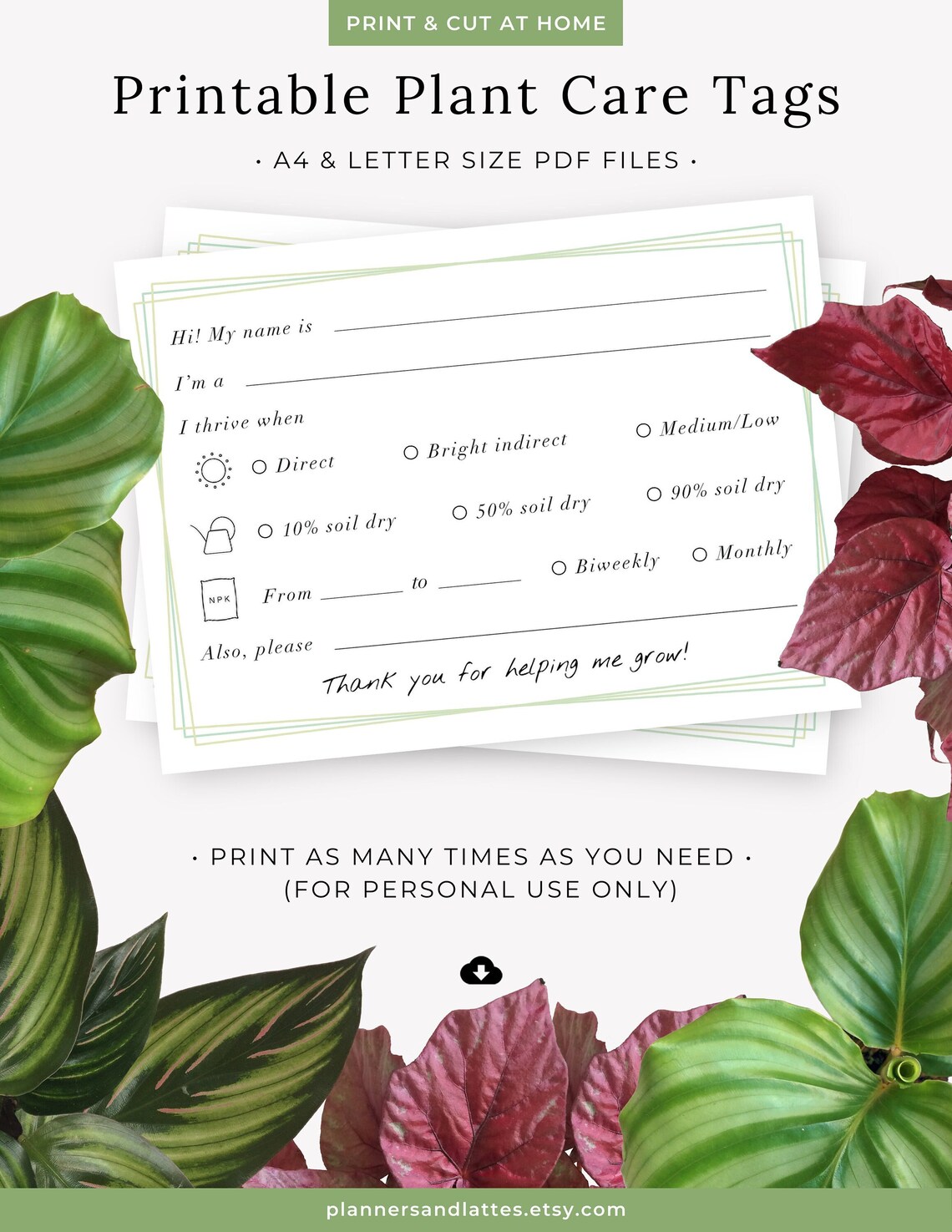 Plant Care Tags Printable Houseplant Name Tags Indoor Plant Etsy UK