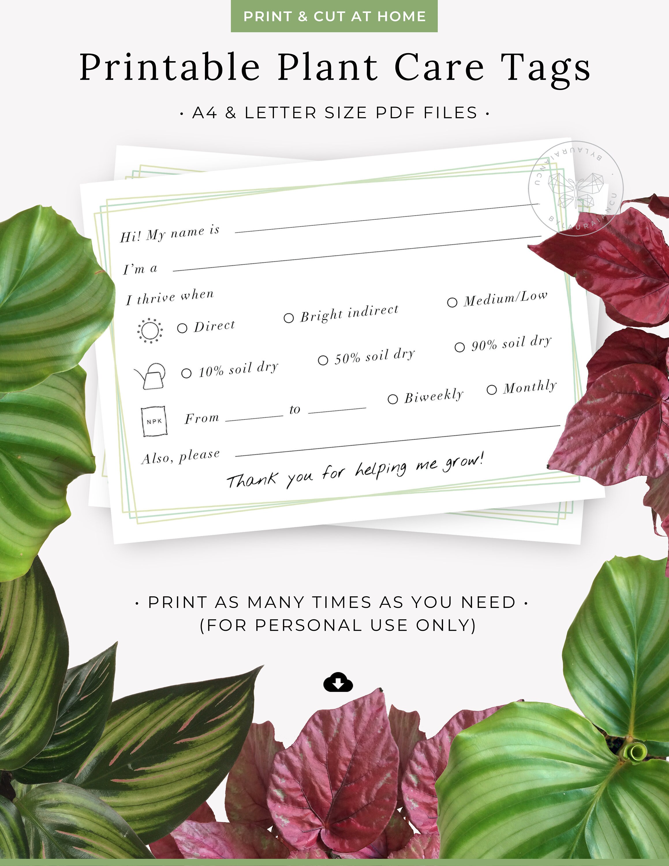 Plant Care Tags Printable Houseplant Name Tags Indoor Plant Etsy