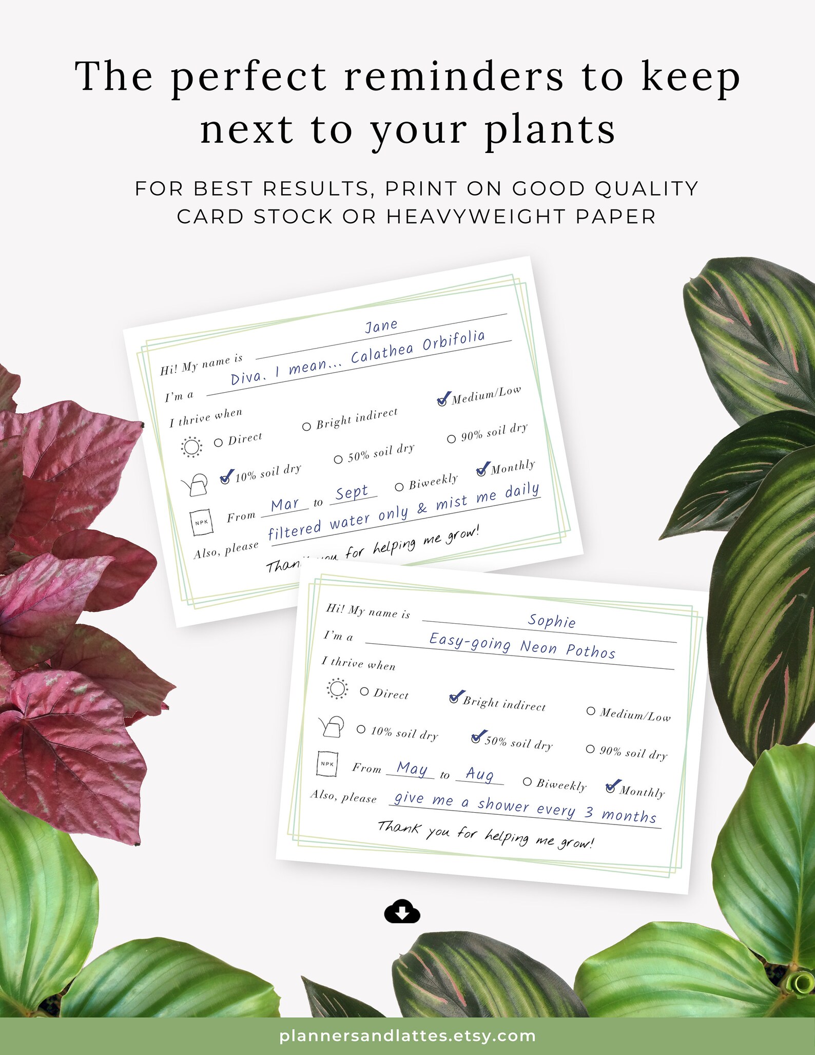 Plant Care Tags Printable Houseplant Name Tags Indoor Plant Etsy UK