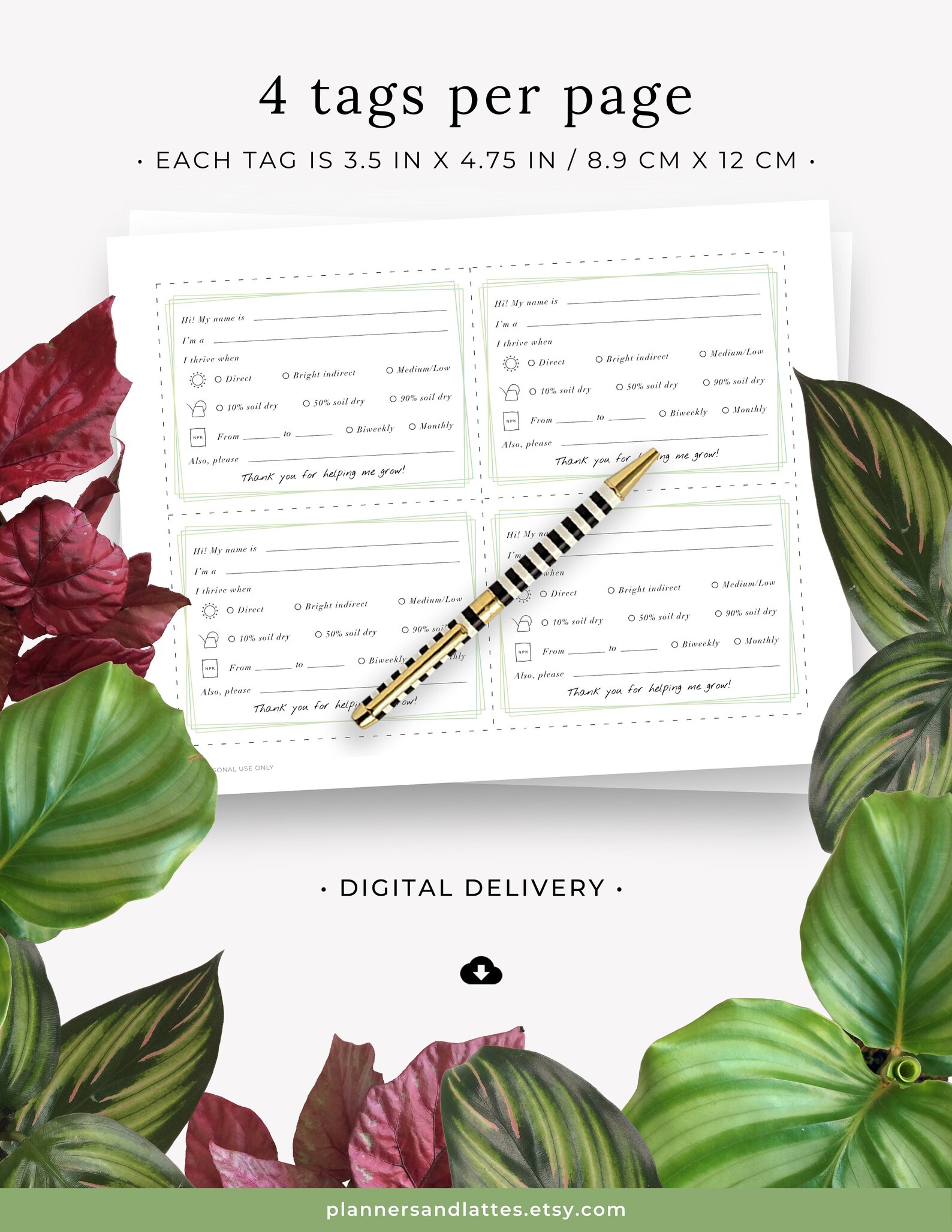 Plant Care Tags Printable Houseplant Name Tags Indoor Plant Etsy UK