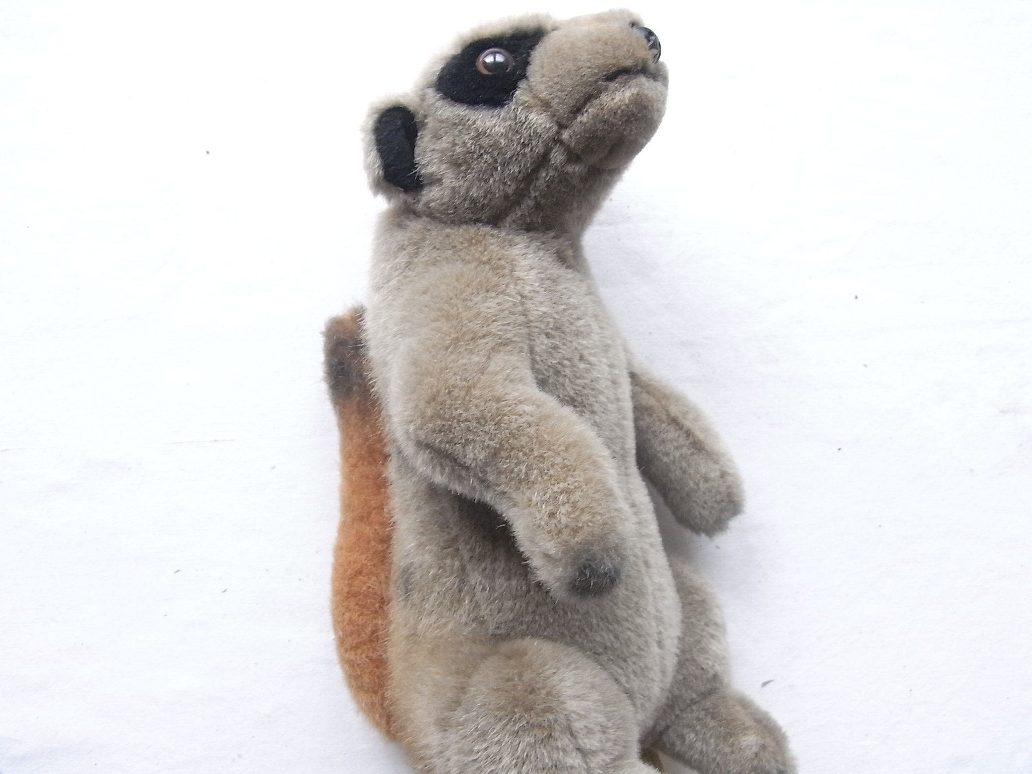 anna club plush duck