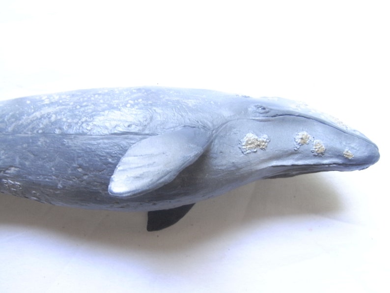 Gray Whale Schleich Gray Whale Animal Gray Whale Toy Etsy