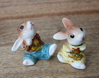 Vintage S & P Handpainted Bunny Rabbits Salt and Pepper Set