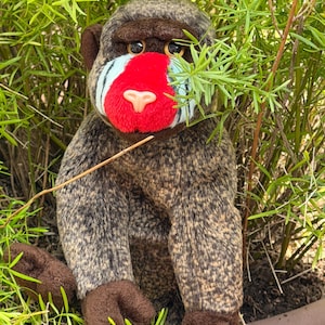 May include: A plush mandrill toy featuring a textured brown and black fur body, dark brown ears and paws, and a distinctive face with a bright red nose, light blue cheek markings, and a small pink nose tip, with large brown eyes looking forward.