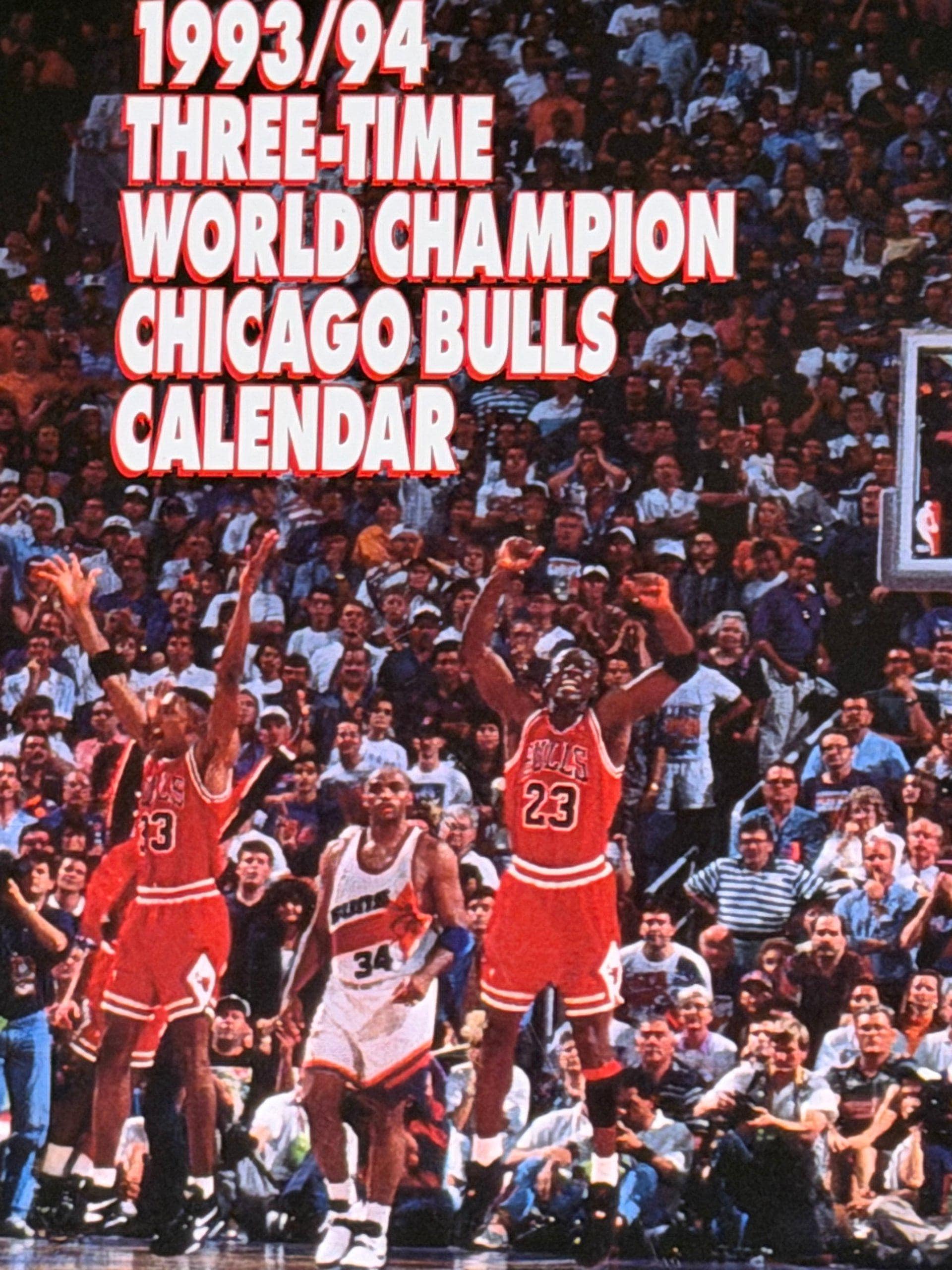 1993 Michael Jordan - Etsy