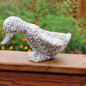 May include: A brown and white speckled ceramic duck planter. The duck is in a crouching position with its head tilted down. The planter has a small opening on the top for planting.