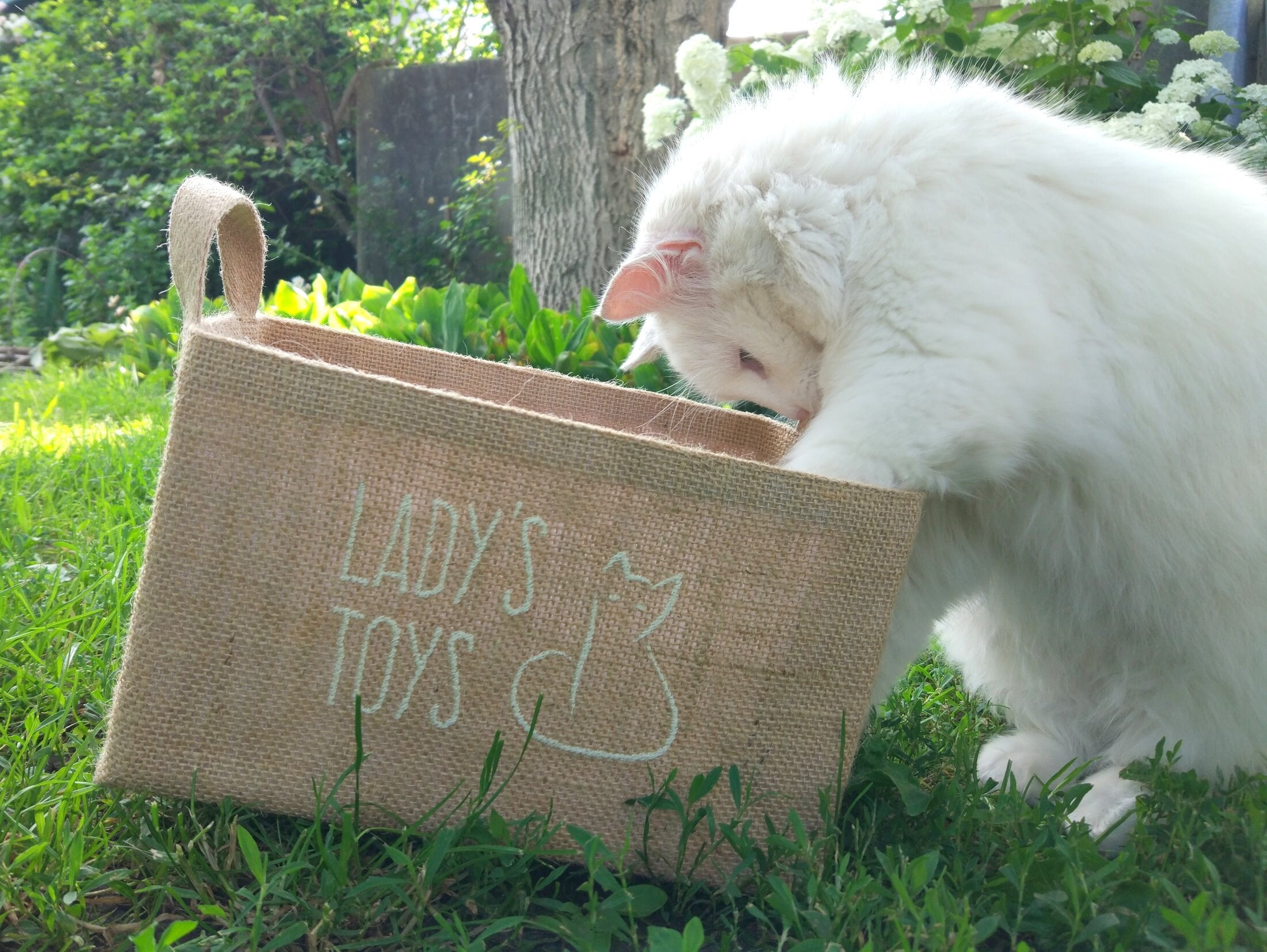 Small Cat toy basket storage 9x 6x 5.5h Etsy
