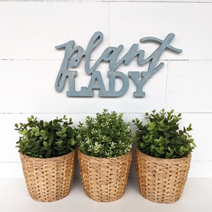 Plant Lady Sign, Plant Lady cutout, 1/2&quot; thick wooden letters plant lady sign, spring home decor, springtime decor