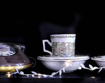 Set of two Vintage Kensington Shakespeare's Sonnets Cups and Saucers and two small bowls. Spring VI Ironstone England