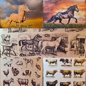 Retro Metal Signs Horses farm animals Plaques Home Decor Gift Wall Hangings Car Garage Bar 20X30cm