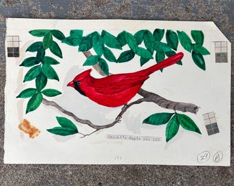 May include: Watercolor painting of a vibrant red cardinal perched on a branch with green leaves. The bird has a black mask and a red crest. The artwork includes the text "Chichi's Magic pg. 193" and the number "193".