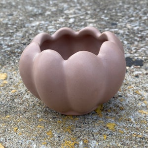 May include: A small, light brown ceramic planter with a scalloped rim. The round pot has a pumpkin-like shape and sits on a textured gray surface. This decorative container is suitable for small plants or succulents.
