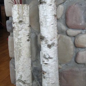 May include: Two white birch bark vases with red branches inside. The vases are standing on a wooden floor in front of a stone wall.